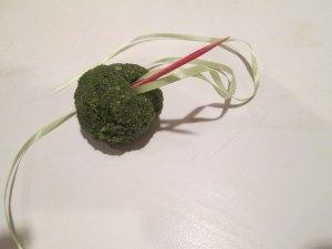 larrea_tridentata_pomander_JAS_006