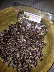 Colorful Christmas lima, also known as Chestnut lima, will keep some of its purple color and its shape in cooking.  Photo by Muffin Burgess