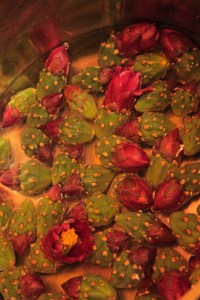 red cholla buds de-spined ready for cooking (MABurgess photo)