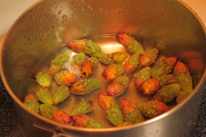 yellow staghorn buds in the cook pot (MABurgess photo)
