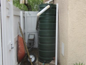 Our biggest tank drains water from roof of guest house and provided water for my winter vegetable garden.
