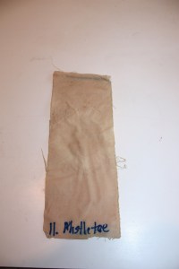 Mistletoe dye on cotton