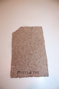 paper with desert plants 004