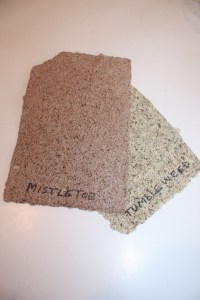 paper with desert plants 002