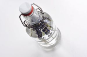 Lavendula in vodkaelsnaps_(4917058844).jp