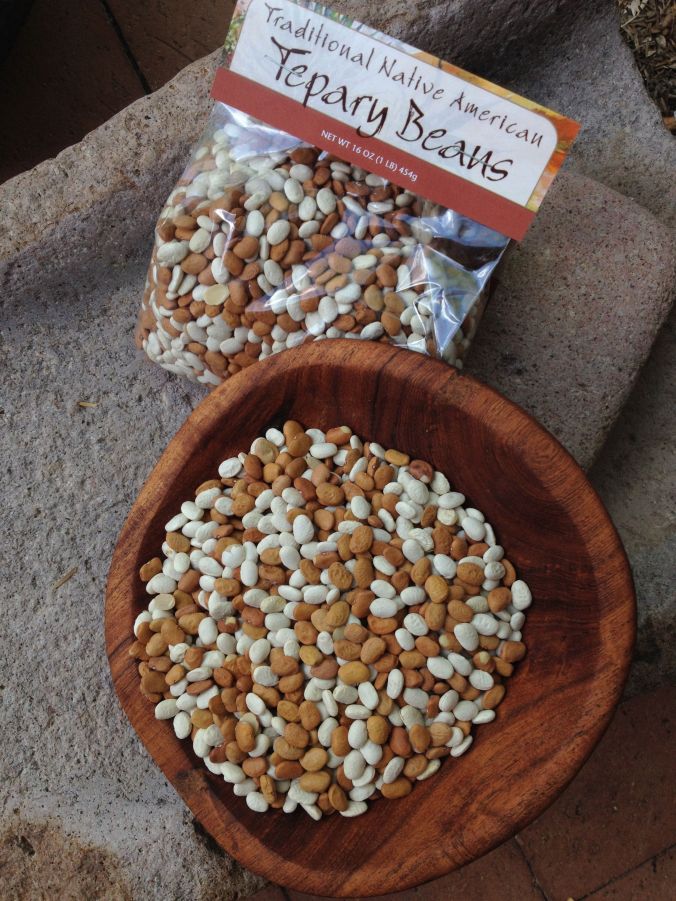 Traditional Native tepary beans--colorful mix available at Tohono Chul Park gift shop, NativeSeeds/SEARCH and Flor de Mayo booth at farmers market