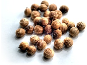 Coriander_fruit_001