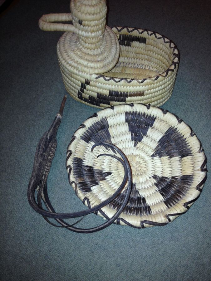 Tohono O'odham coiled basket by Juanita Ahil with domestic long-clawed i:hug (MABurgess photo)