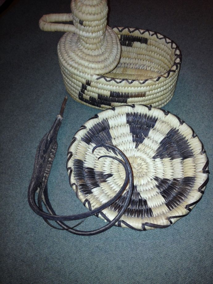 Tohono O'odham coiled basket by Juanita Ahil with domestic long-clawed i:hug (MABurgess photo)