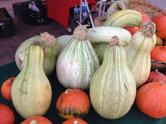 Tohono O'odham Ha:l and curry pumpkins at SanXavierCoop booth, SantaCruz Farmers Market (MABphoto)