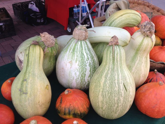 Tohono O'odham Ha:l and curry pumpkins at SanXavierCoop booth, SantaCruz Farmers Market (MABphoto)
