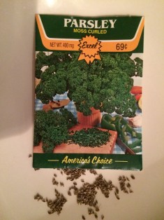 Petroselinum crispum IMG_1371
