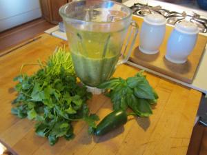 Blend together tomatillos, chiles, onions, garlic and herbs.
