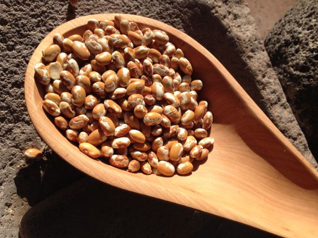 Four Corners Gold beans in a Tarahumara madrone scoop