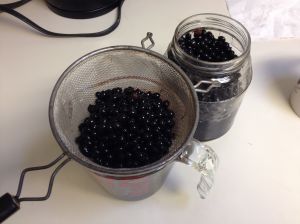 Decanting the marinated fan palm fruits from the liqueur (MABurgess)