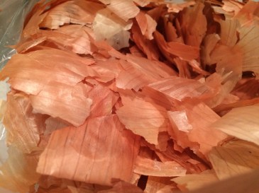 onion skin IMG_2348