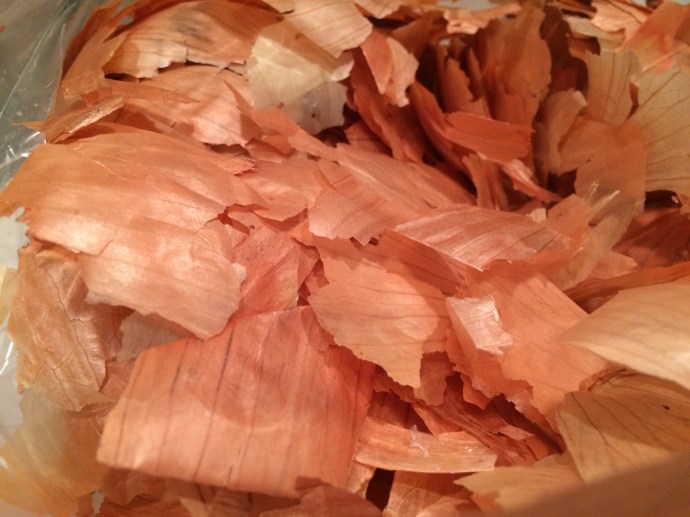 onion skin IMG_2348