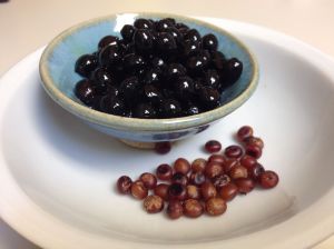 W.filifera fruit AFTER tincturing and decanting makes a fabulous alcoholic treat (seeds to be discarded)