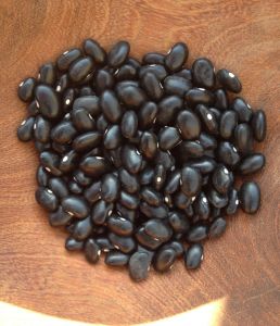“Aztec Black Bean” or “Black Turtle” is the traditional bean of the Nahuatl or central Mexico.