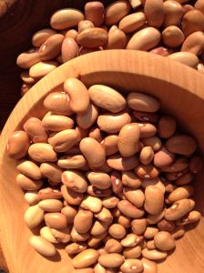 “Bolita” or “little bullet” is a champion of flavor and makes a delish burrito or refried bean.