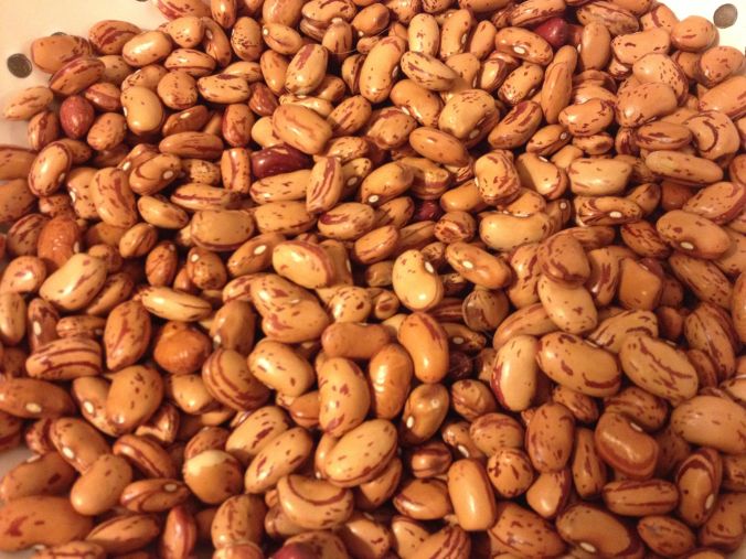 “Cranberry bean” refers to the flecks and strips of dark maroon or cranberry coloration on beige, not to its flavor.