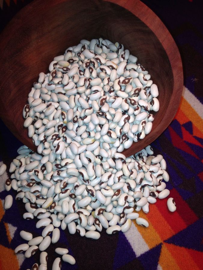 “Moon Bean” (also known in Colorado as “pinkeye bean”) is a mild, tasty, versatile bean.