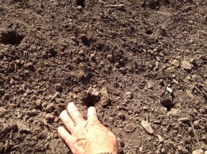 Connecting with the soil, prepping for planting a seed, can be a communion and a meditation, good for the soul and beyond….