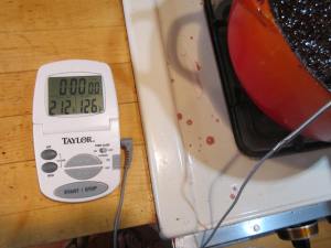 Battery-operated digital cooking thermometer.