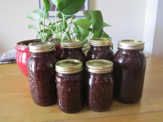 Five quarts of fig jam will wait until October to be made into fig bars for the Farm to Table Dinner. 