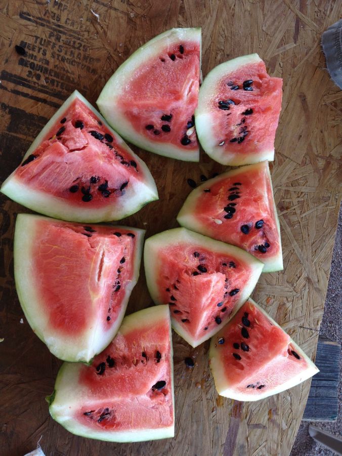 "Begin with the end in sight"--As we put seeds in the ground, we anticipate a delicious future harvest