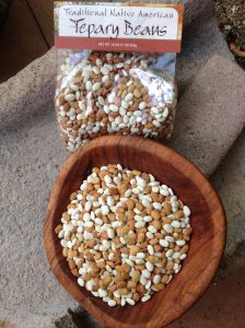 The most nutritious and rich-tasting of all beans--our native Tepary Bean! --domesticated by early Desert People of the Southwest