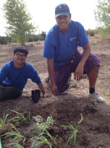 When your hands are covered with good clean dirt, you can anticipate a fruitful future!