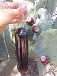 Prickly pear vinegar