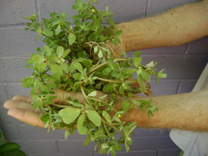 Here's how it should look once we get some more rain.