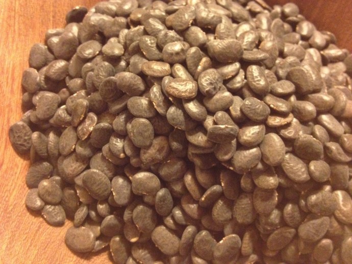 Rich black teary beans dried, ready to hydrate for cooking