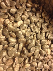 Shiny black teparies close up