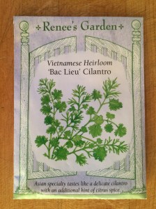 cilantro_4336