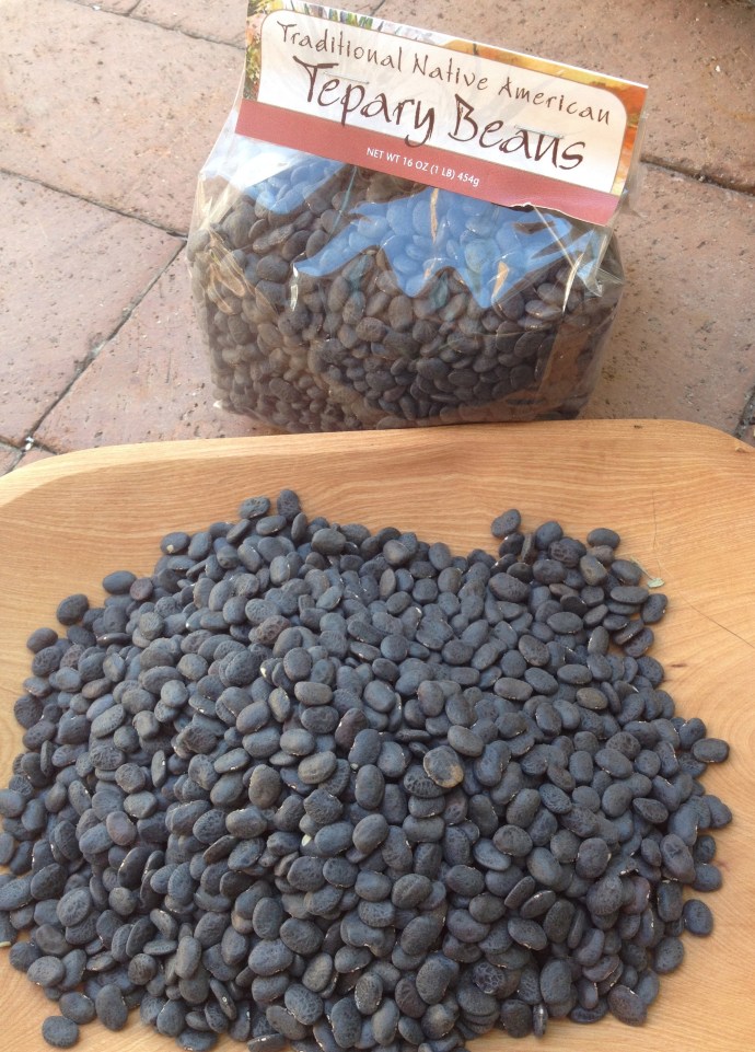 Native Black Tepary Beans & Flor de Mayo 1-lb pkg 