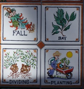 season fall at TBG 5791