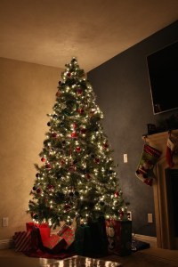 christmas tree 685920_1280
