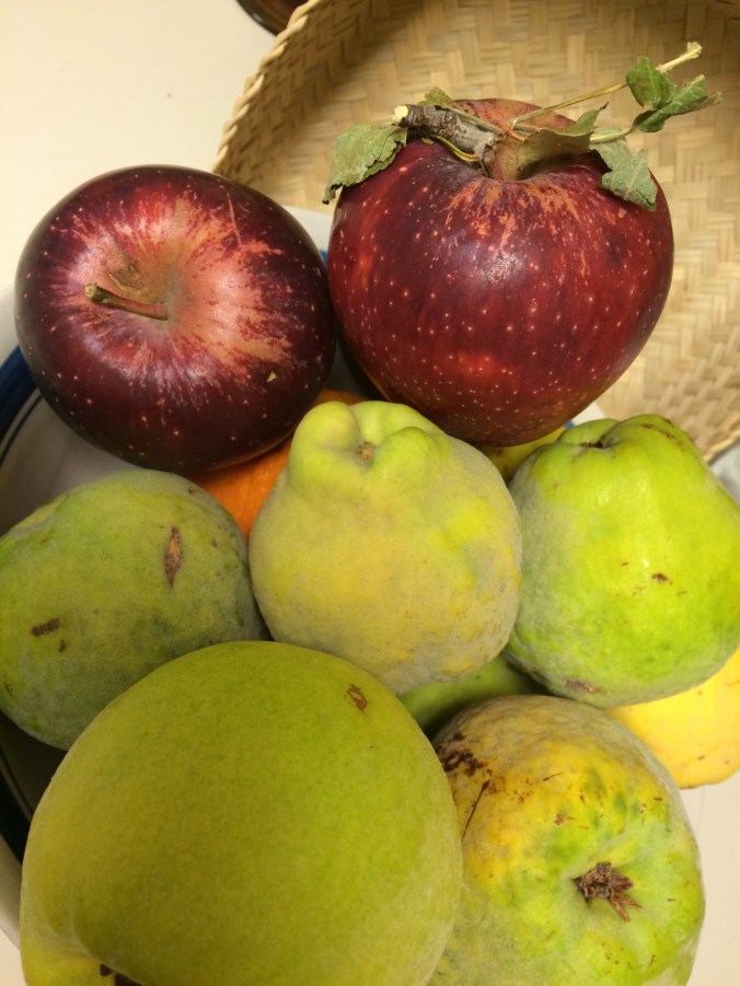 Padre Kino's Membrillo Fruit with Slide Rock Star King Old Fashioned Double Delicious Apples