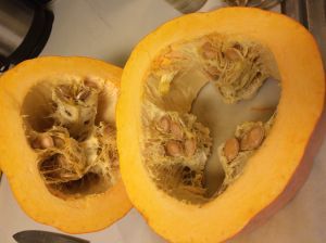 Navajo banana squash showing its interesting pattern of seeds inside