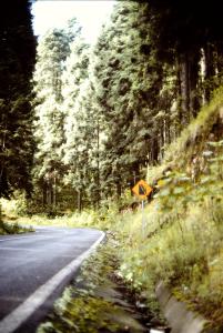 MICHO Mts near Uruzpan 6 Aug 90 050