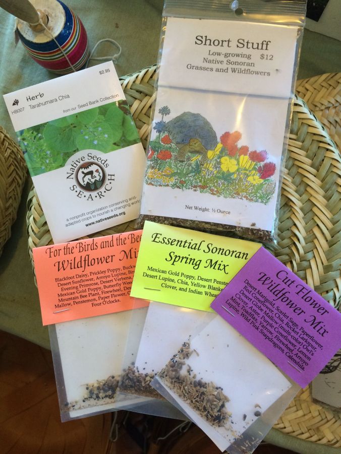 Tarahumara Chia and Desert Chia are available in seed packets and seed mixtures from NativeSeeds/SEARCH.