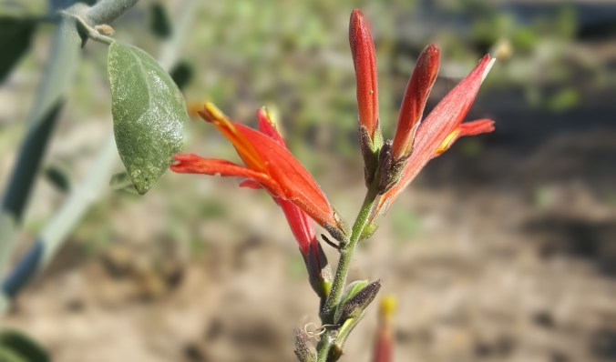 blog 20160415_091001