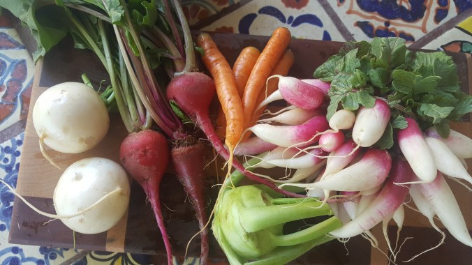 blog 20160415_093007