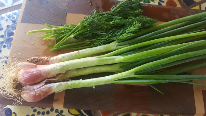 I'itoi onions and dill.