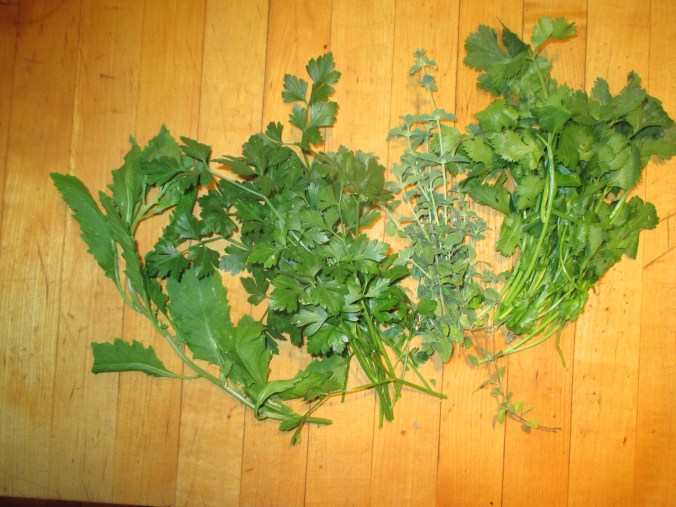 Herbs for Mole Verde from left: epazote, parsley, oregano, and cilantro.