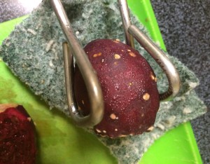 De-spining tunas with tongs and scrubbie