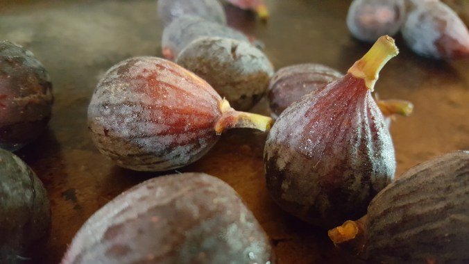 2-fresh-whole-figs